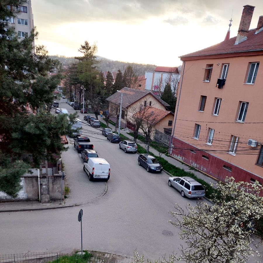 Fely Room Petroşani 외부 사진