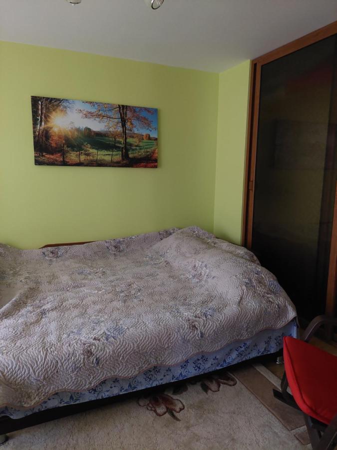 Fely Room Petroşani 외부 사진