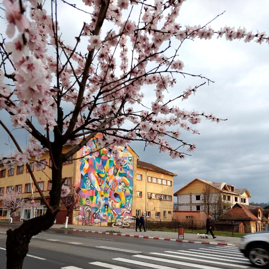 Fely Room Petroşani 외부 사진